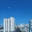 사하덤프 | 부산 사하구 레이어스호텔 부산 하단 부산관광호텔조식 뷔페