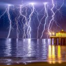 의식목장 이미지