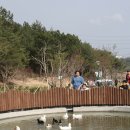 고래놀이터 이미지