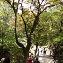 거창스포츠파크 이미지