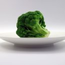 팀터틀랫 기장일광점 이미지