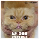 중동우리아이동물병원 이미지