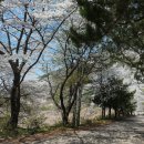 무등파크 골프연습장 이미지