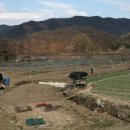 냉천주유소 이미지