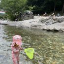 파래소 자연애 펜션 이미지