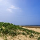 삼봉자동차야영장 이미지