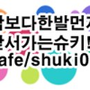 슈키 이미지