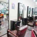 강동-길동-1503 이미지