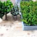 인천새봄초등학교 이미지