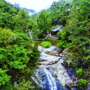 낭만가도 이미지