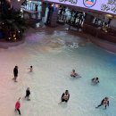 한방베스 | 부산 워터파크 찜질방 해운대 클럽디오아시스 가격 꿀팁 준비물