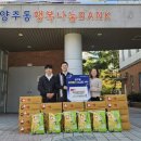 마디마취통증의학과의원 이미지