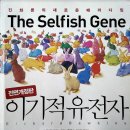 싱어송 라이터 고정진 자작곡 - 이기적 유전자 Selfish Gene 이미지