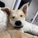 석곡1동 이미지