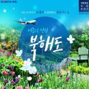 여름의 정원