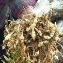 윤하농장 이미지