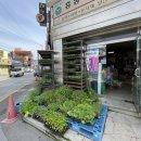 흥농종묘사 이미지