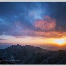 전남/곡성 동학산의 겨울나기 이미지