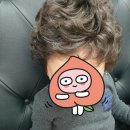 가위와빗헤어클럽