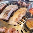 돈가맛돼지 이미지