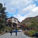 축령산아침 | 축령산 자연휴양림 이용후기