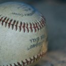 수풀사이