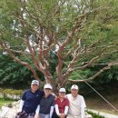 이삼돈 Daum카페