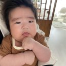 보블리스튜디오