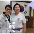 용인대 해동 태권도장 이미지