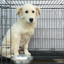 주래본죽로 이미지