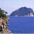 제주 삼도파초일엽 자생지 이미지