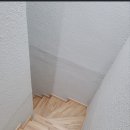 돌고래풀하우스 이미지