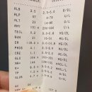 피부전문동물병원 찾다가 안심됐던 토끼 트리밍 후기 — 레알피부전문동물병원
