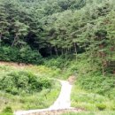 백화펜션 이미지