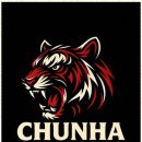 천하체육관 이미지