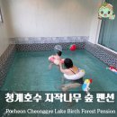 포천 청계호수자작나무숲펜션 수영장 사우나 캠핑장 가족여행 여행후기