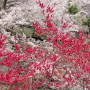 해오름길 이미지