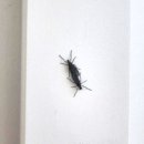 은평-023 이미지