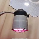 안수정형외과의원 이미지