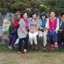 진안마원 이미지