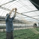 남산농원 이미지