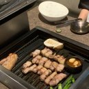 돌담흑돼지제주 | 제주 애견동반 맛집, 흑돼지전문점 돌담 제주공항점 내돈내산 후기