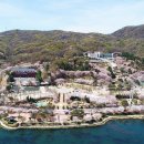 봄꽃힐링투어 이미지