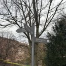 성안하이테크카정비 | 하이델베르크성 산책 후기｜입장료 없이도 힐링되는 전망 명소, 네카어강과 구시가지 뷰 한눈에