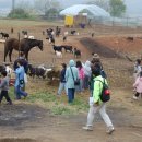 밀머리마을 이미지