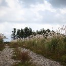 태흥목장 이미지