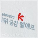 금강나염