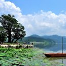 두물머리 이미지