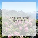 매일컴퓨터
