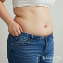 김영석한방내과한의원 | 한방다이어트 감량 후기 월화수 감비환 처방 비용은?